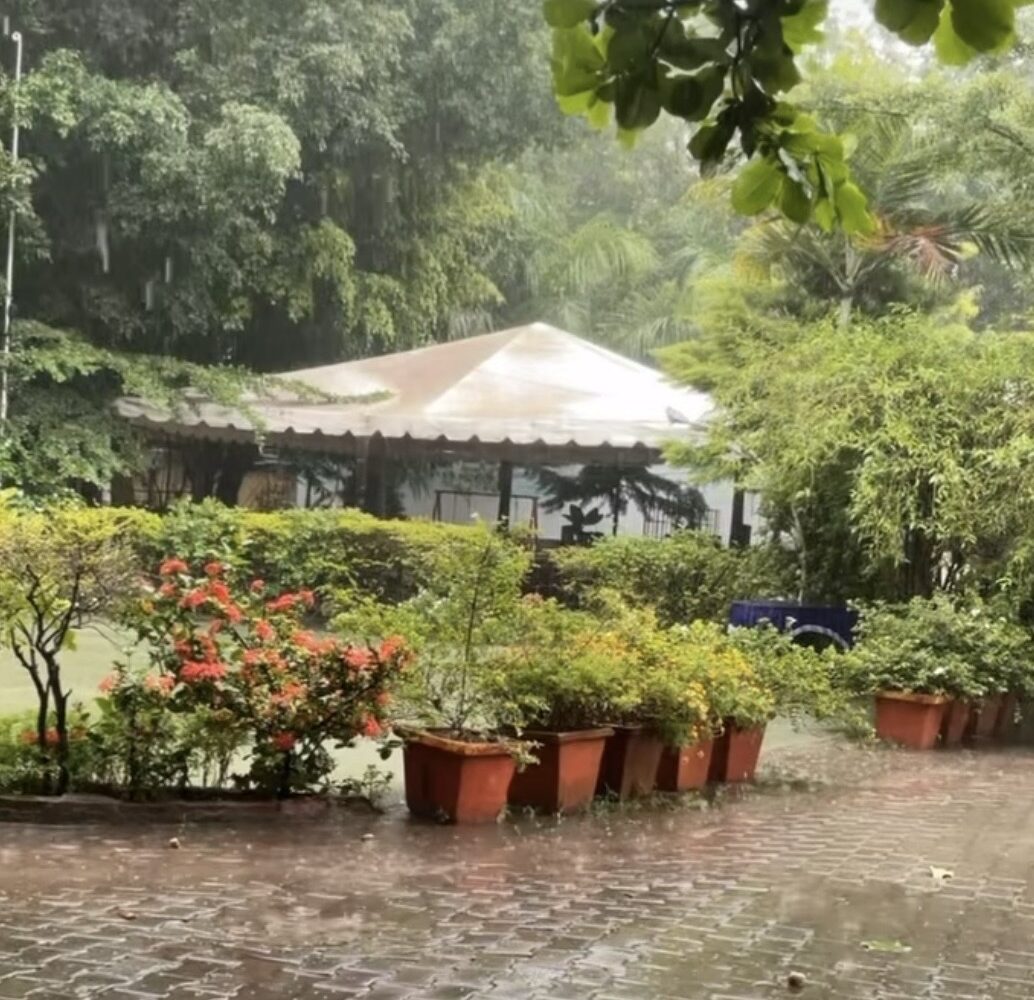 A Little Green Haven Called Patel’s Inn 