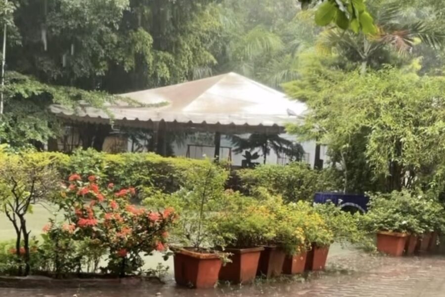 A Little Green Haven Called Patel’s Inn 