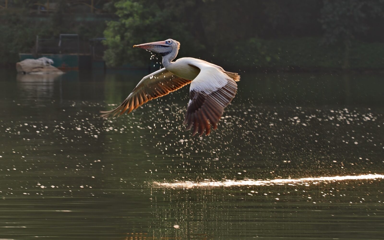 Beyond The Frame -When Light Takes Flight 