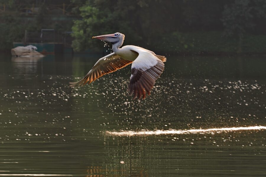 Beyond The Frame -When Light Takes Flight 